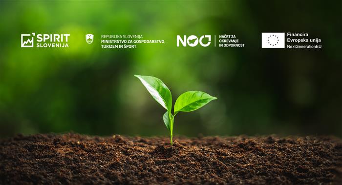 Public Call for Support to Companies in Strategic Sustainable and Circular Business Transformation